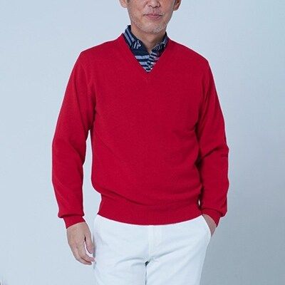 日本製 カシミヤ100% Vセーター 赤 2Lサイズ｜敬老の日 ギフト 誕生日プレゼント 贈り物 [2608]