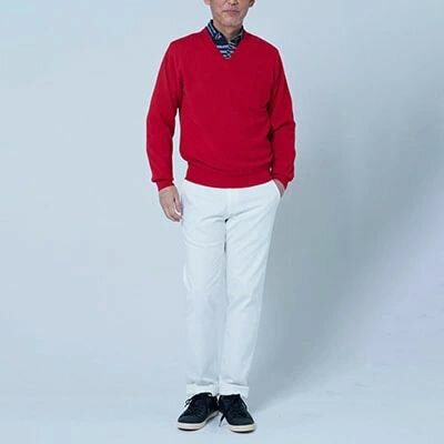 【ふるさと納税】日本製 カシミヤ100% Vセーター 赤 2Lサイズ｜敬老の日 ギフト 誕生日プレゼント 贈り物 [2608] サムネイル2