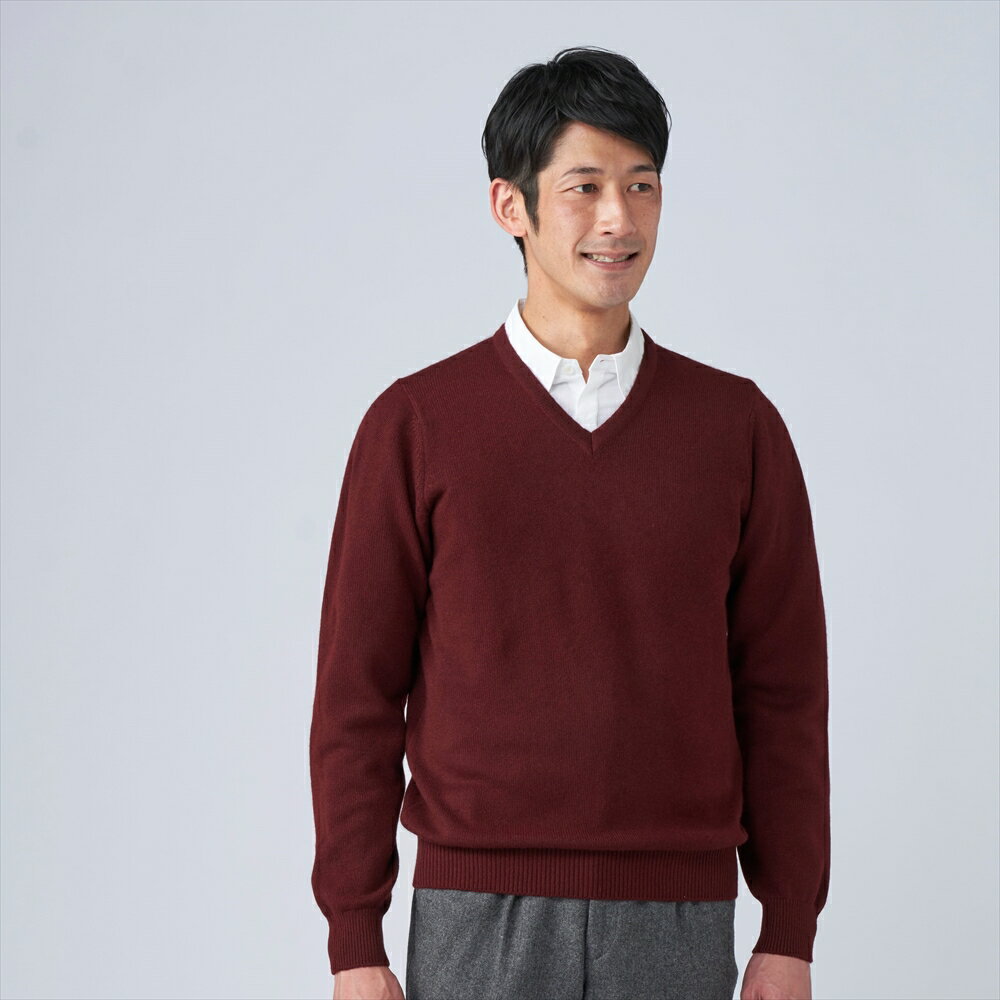 日本製 カシミヤ100% Vセーター ワイン Mサイズ｜敬老の日 お歳暮 御歳暮 贈答品 ギフト 誕生日プレゼント 贈り物 父の日 母の日 お年賀 寒中見舞い クリスマス お見舞 [2630]