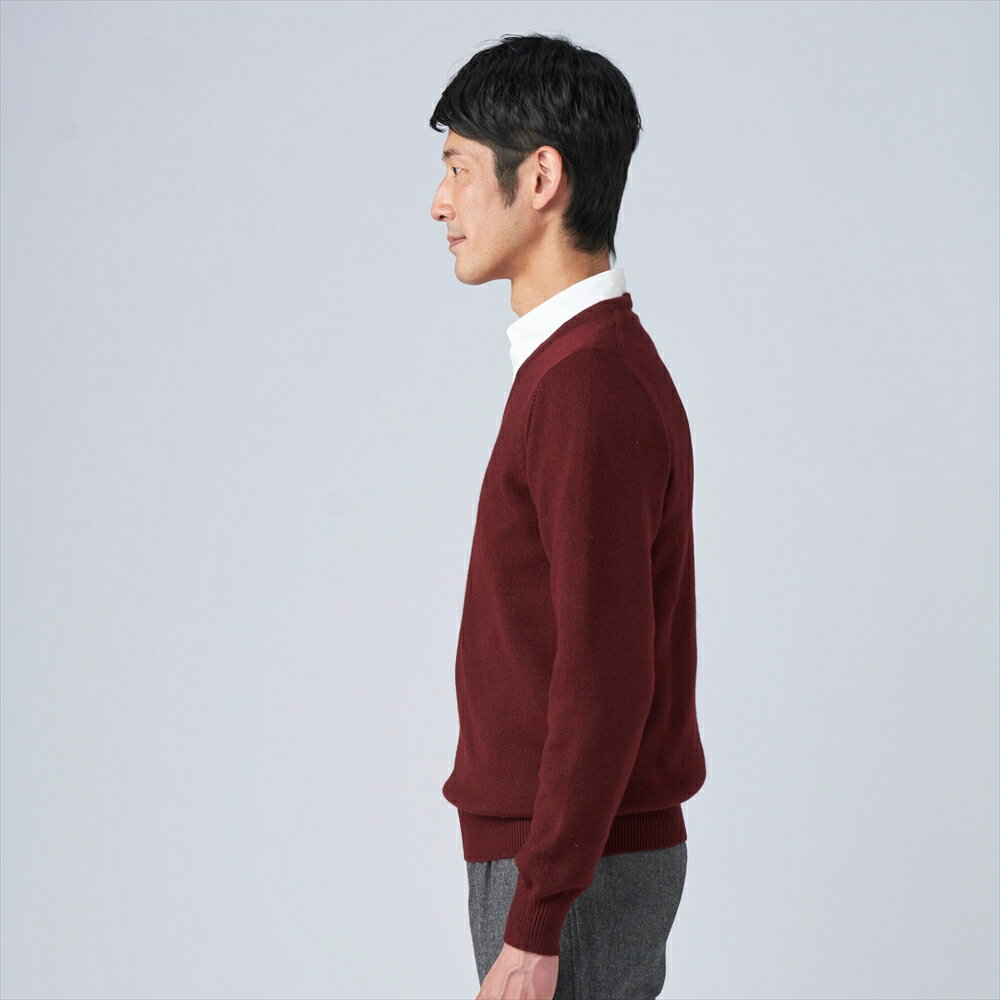 【ふるさと納税】日本製 カシミヤ100% Vセーター ワイン Mサイズ｜敬老の日 お歳暮 御歳暮 贈答品 ギフト 誕生日プレゼント 贈り物 父の日 母の日 お年賀 寒中見舞い クリスマス お見舞 [2630] サムネイル3