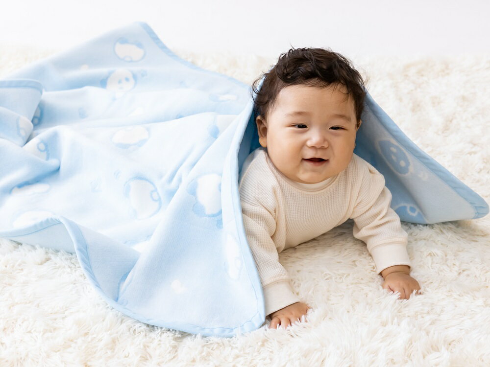 【ふるさと納税】ベビー綿毛布(パンダ柄)ブルー・85×115cm・毛布の町泉大津産 ｜ ベビー毛布 ベビーブランケット 毛布 ブランケット おくるみ 綿毛布 赤ちゃん毛布 子供用毛布 あかちゃん 寝具 ベッド ギフト 誕生日プレゼント 贈り物 クリスマス お見舞 N-PANDA [0713]