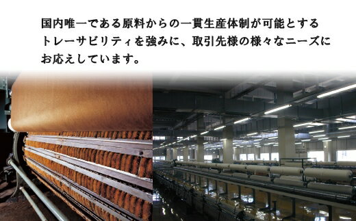 【ふるさと納税】カシミヤ100% 抜き房ストール【ネイビー】｜高級素材 軽量 なめらかな肌触り 寒さ対策 確かな技術 日本製 プレゼント ギフト 誕生日 お見舞い お歳暮 父の日 母の日 [1041] サムネイル2