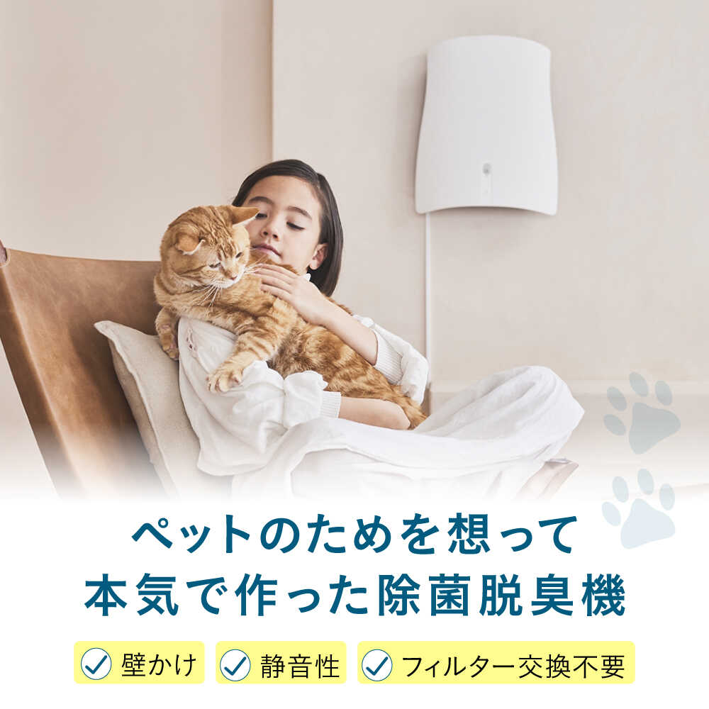 【ふるさと納税】SUNSTAR ペット想いの除菌脱臭機 QAIS-air-04A1J (空気清浄機) 家電 コンパクト 〜30畳 加湿なし フィルター交換不要 ペット 脱臭機 空気清浄機 大阪府高槻市/サンスター技研株式会社[AOAF006] サムネイル3