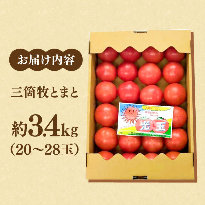 【ふるさと納税】三箇牧とまと（高槻産）約3.4kg（20〜28玉入り）野菜 トマト 新鮮 三箇牧とまと 野菜不足 限定 大容量 大阪府高槻市/株式会社ミートモリタ屋[AOAI015] - 画像2