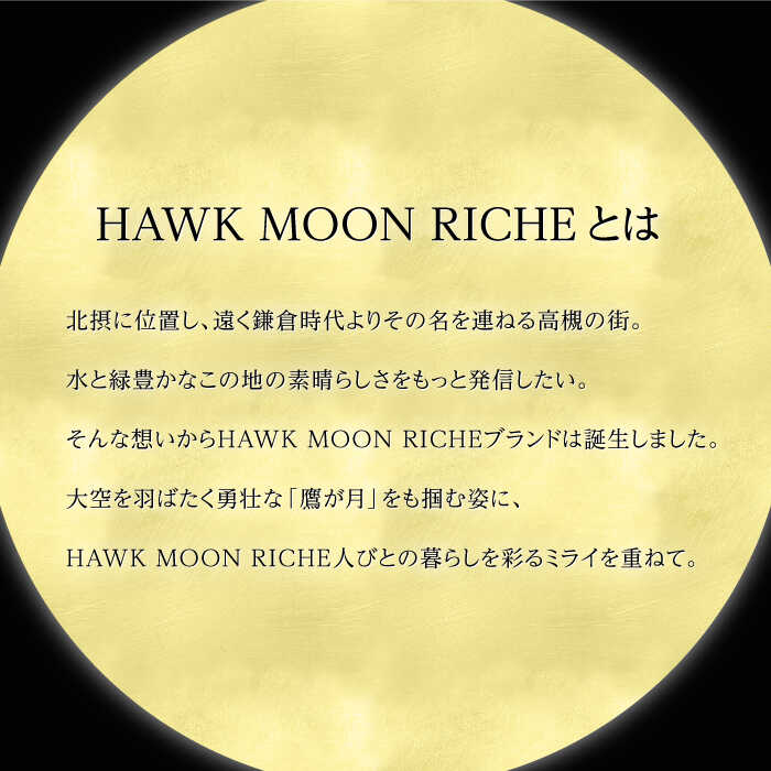 【ふるさと納税】【選べるサイズ】HAWK MOON RICHEモノクロTシャツ （ブラック・ホワイト各1枚計2枚セット/ユニセックス） 大阪府高槻市/株式会社 Riche[AOBQ013] おしゃれ 個性的 高見え レディース メンズ シャツ Tシャツ サムネイル2