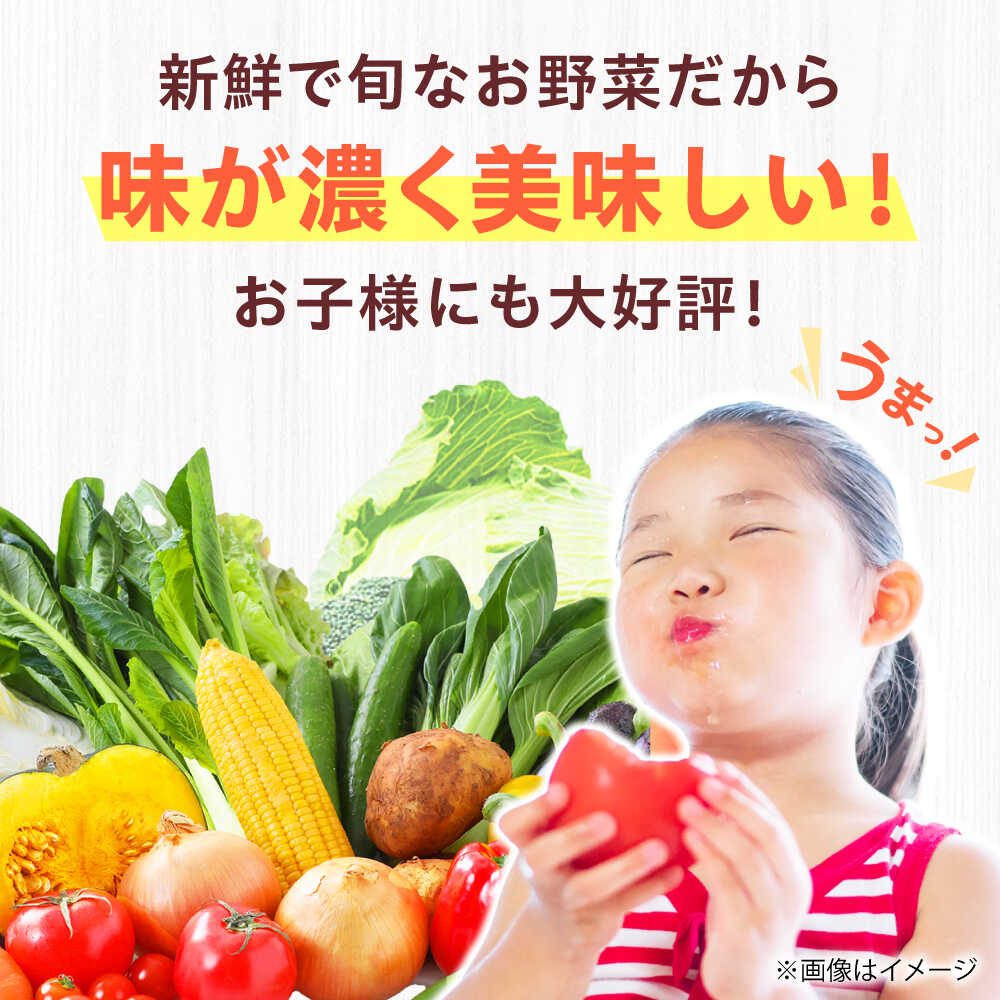 【ふるさと納税】【数量限定】厳選！旬を味わう有機野菜詰め合わせ 2月（10〜15種）＆農家さん自家製ゆず果汁 200ml×1本セット 野菜 やさい 新鮮 産地直送 旬 人気 お取り寄せ 野菜詰め合わせ 野菜セット ゆず 柚子 ゆず果汁 自家製 大阪府高槻市/高槻あぐり[AOCS004] - 画像2