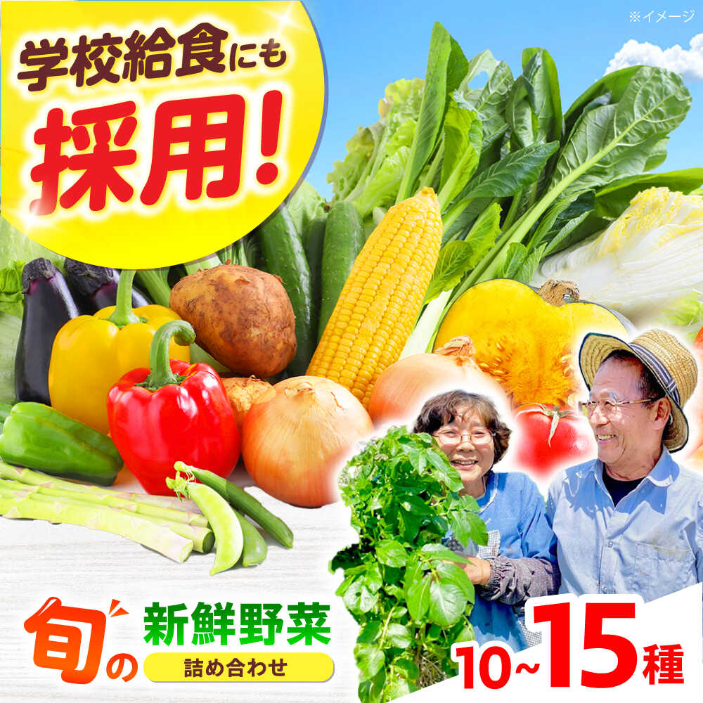 【数量限定】☆選べるお届け月☆厳選！旬を味わう高槻野菜おまかせ詰め合わせセット（10種〜15種） 野菜 やさい 新鮮 産地直送 旬 人気 お取り寄せ 野菜詰め合わせ 野菜セット 選べる 農作物 農家 ご当地 自家製 大阪府高槻市/高槻あぐり[AOCS006] 旬野菜