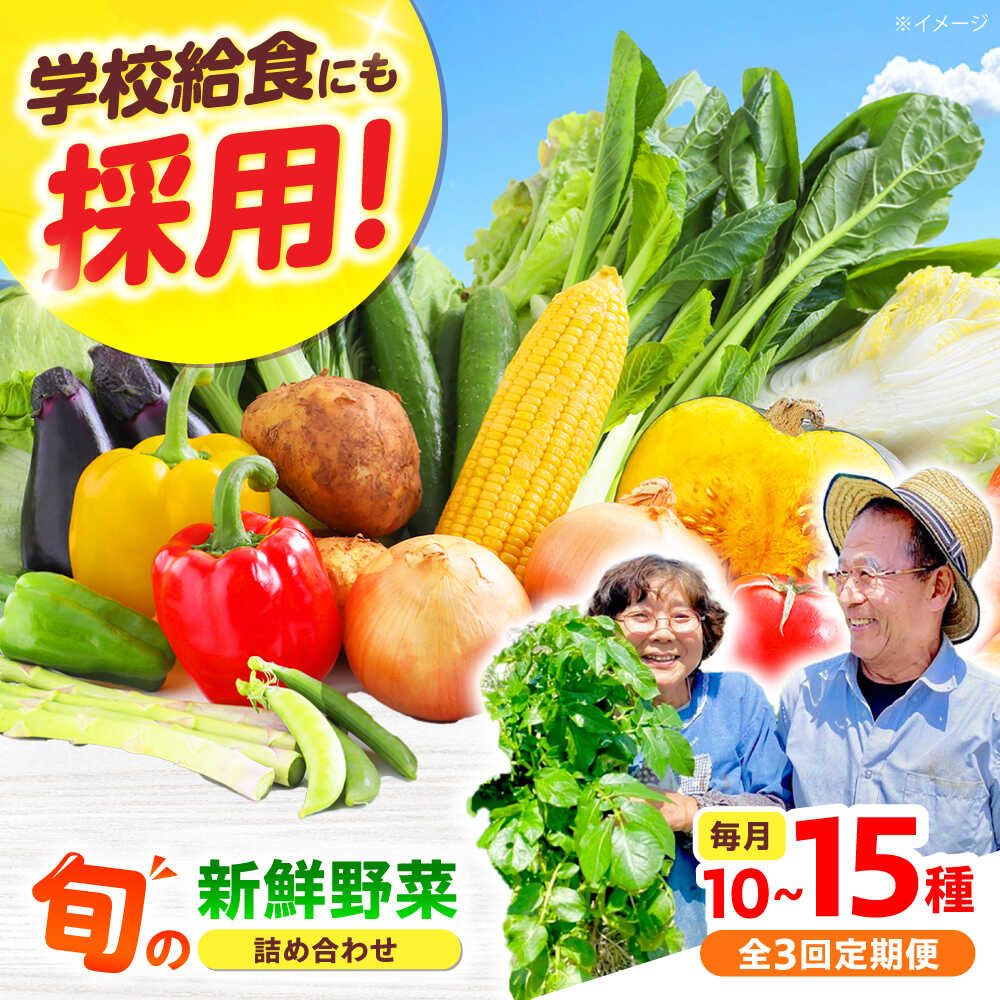【全3回】【数量限定】厳選！旬を味わう高槻野菜おまかせ詰め合わせ定期便（10種〜15種） 野菜 やさい 新鮮 産地直送 旬 人気 お取り寄せ 野菜詰め合わせ 野菜セット 選べる 農作物 農家 ご当地 自家製 お取り寄せ 大阪府高槻市/高槻あぐり[AOCS019] 旬野菜
