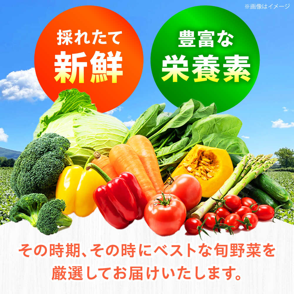 【ふるさと納税】【全12回】【数量限定】厳選！旬を味わう高槻野菜おまかせ詰め合わせ定期便（10種〜15種） 野菜 やさい 新鮮 産地直送 旬 人気 お取り寄せ 野菜詰め合わせ 野菜セット 選べる 農作物 農家 ご当地 自家製 お取り寄せ 大阪府高槻市/高槻あぐり[AOCS021] - 画像3