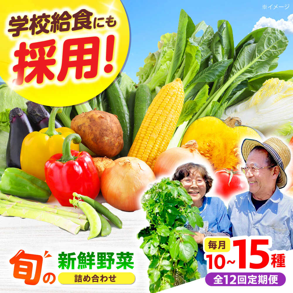 【全12回】【数量限定】厳選！旬を味わう高槻野菜おまかせ詰め合わせ定期便（10種〜15種） 野菜 やさい 新鮮 産地直送 旬 人気 お取り寄せ 野菜詰め合わせ 野菜セット 選べる 農作物 農家 ご当地 自家製 お取り寄せ 大阪府高槻市/高槻あぐり[AOCS021]