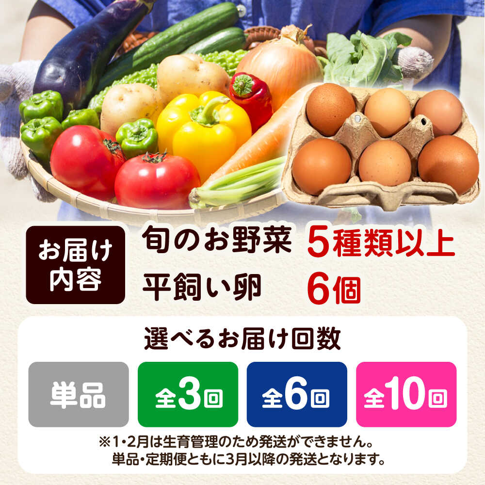 【ふるさと納税】【単品＆選べる定期便】朝のTV番組で紹介された！旬のお野菜＆平飼い卵セット 詰合せ 詰め合わせ 新鮮 おまかせ やさい 野菜セット 野菜 旬野菜 旬 人気 お取り寄せ たまご おすすめ メディア 話題 大阪府高槻市/ベジ彩ファーム[AOEJ004] - 画像3