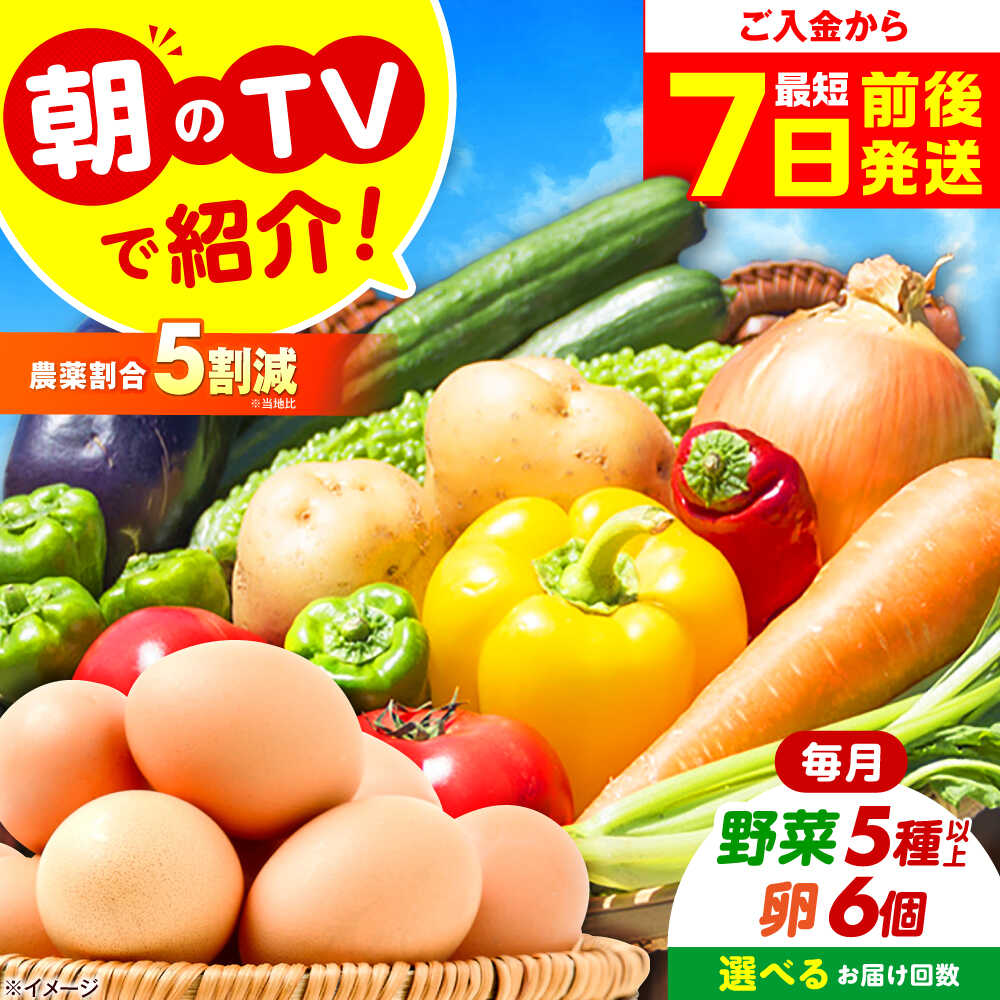 【単品＆選べる定期便】朝のTV番組で紹介された！旬のお野菜＆平飼い卵セット 詰合せ 詰め合わせ 新鮮 おまかせ やさい 野菜セット 野菜 旬野菜 旬 人気 お取り寄せ たまご おすすめ メディア 話題 大阪府高槻市/ベジ彩ファーム[AOEJ004]