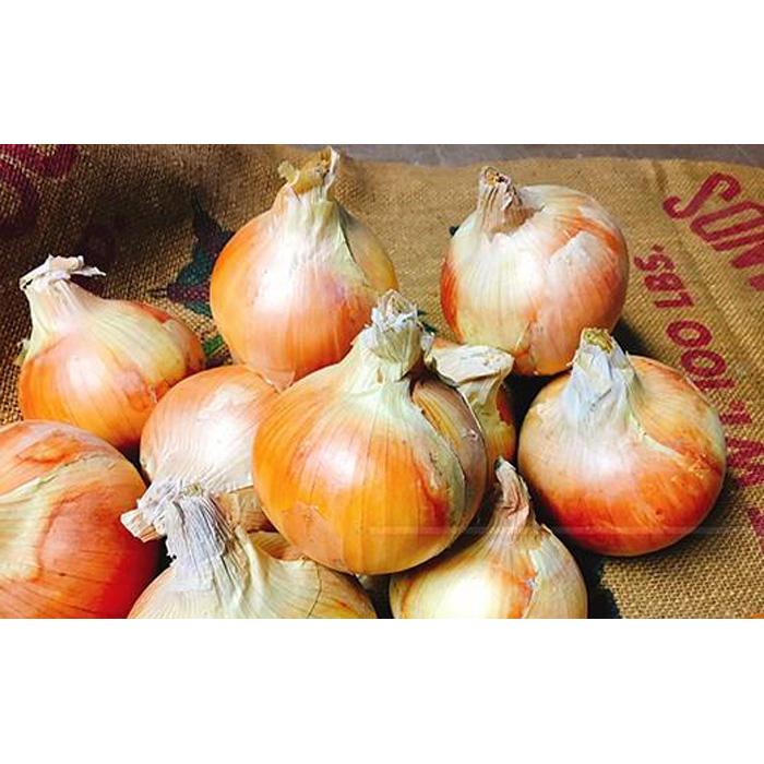 【ふるさと納税】＜2026年5月下旬発送＞泉州玉ねぎ5kg　保存用ネット付 - 画像2