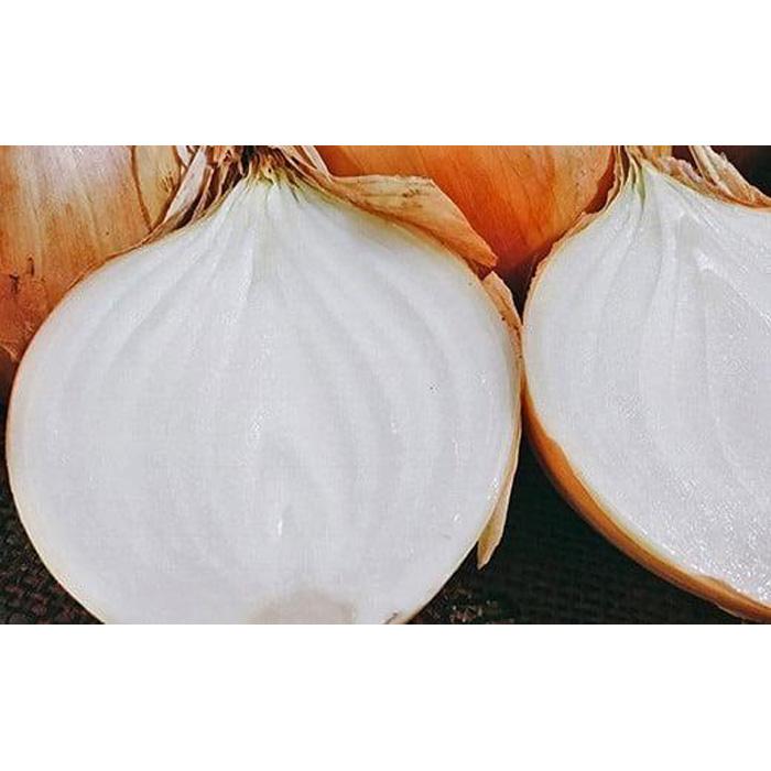 【ふるさと納税】＜2026年5月下旬発送＞泉州玉ねぎ5kg　保存用ネット付 - 画像3