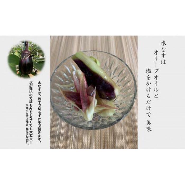 【ふるさと納税】＜先行予約＞大阪泉州水なす(生)12個 - 画像3