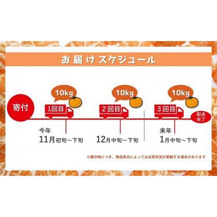 【ふるさと納税】＜2025年先行予約＞【定期便3回】11月～1月発送限定！貝塚市産 温州みかん10kg×3回 サムネイル2