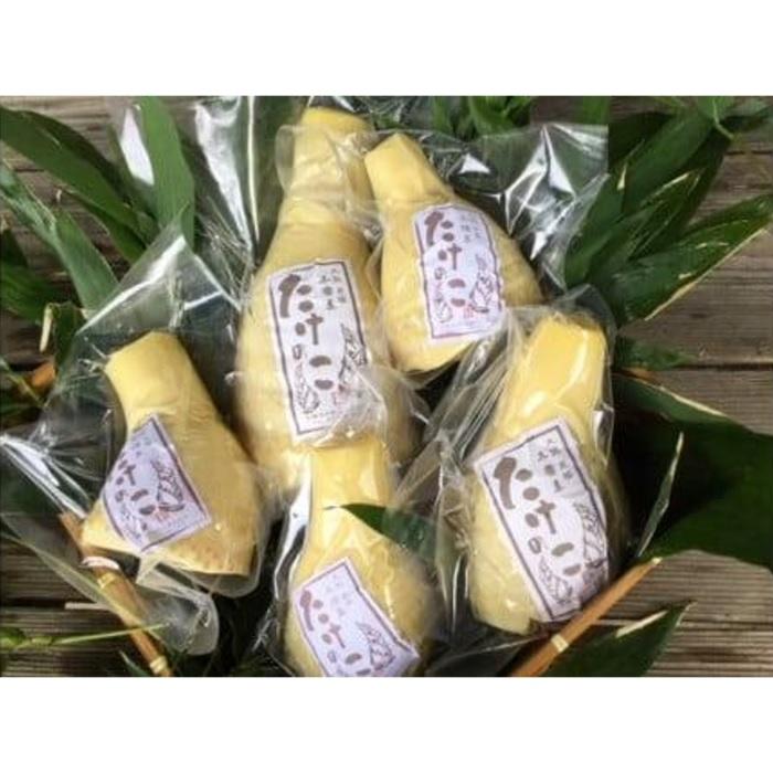 【ふるさと納税】＜2026年3月下旬発送予定＞【生産者直送・貝塚市木積産】朝掘り竹の子水煮 1kg - 画像2