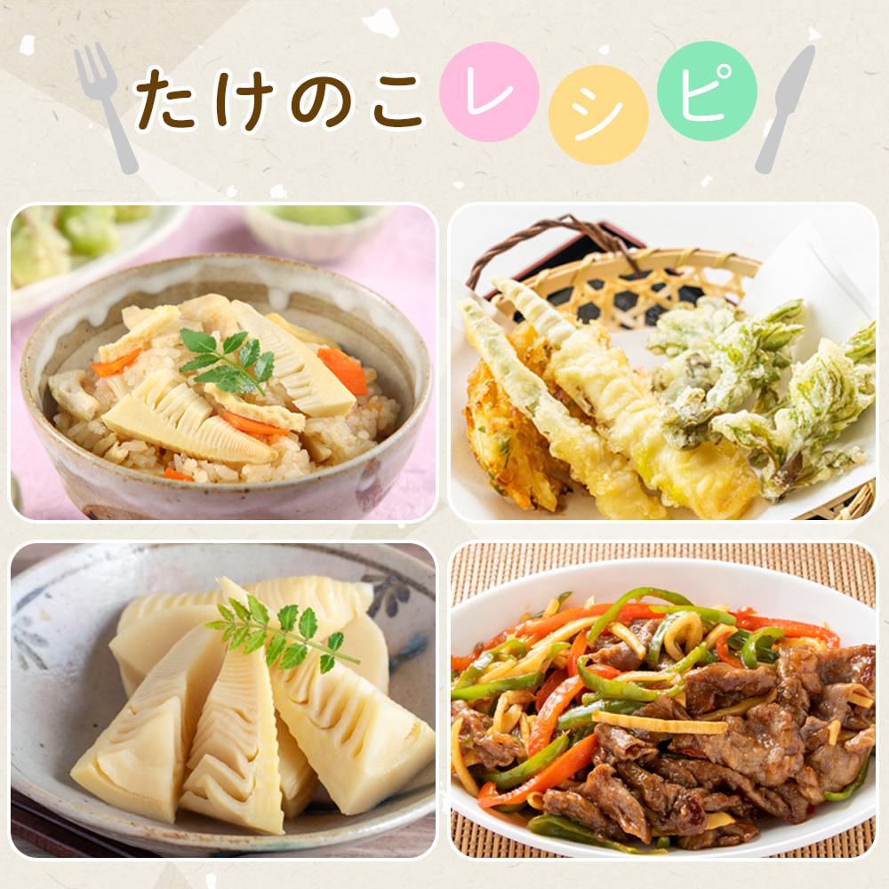 【ふるさと納税】＜先行予約＞貝塚市木積産　特選朝掘り筍　約2kg - 画像3