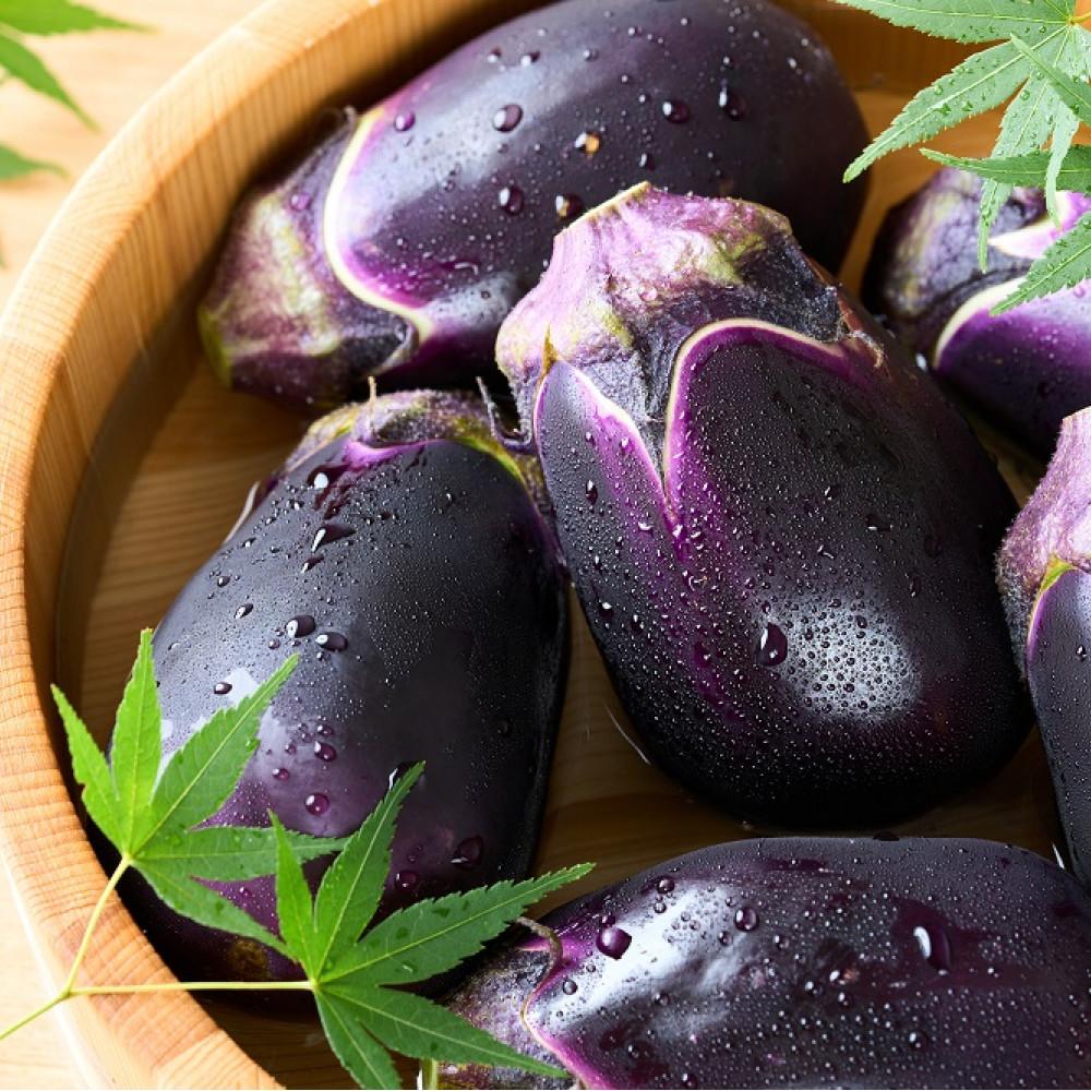 【先行予約2026年7月頃～発送】大阪泉州名産水ナス【生】10個入り | 野菜 やさい 食品 人気 おすすめ 送料無料