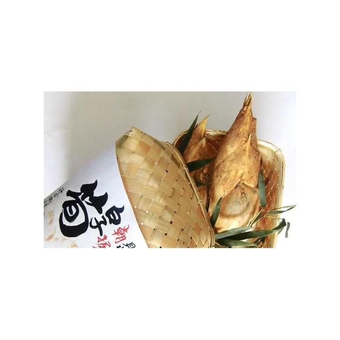 【ふるさと納税】＜先行予約＞【高級たけのこ】貝塚市木積産　極上朝掘り白子筍 約2kg（竹籠入り） - 画像2