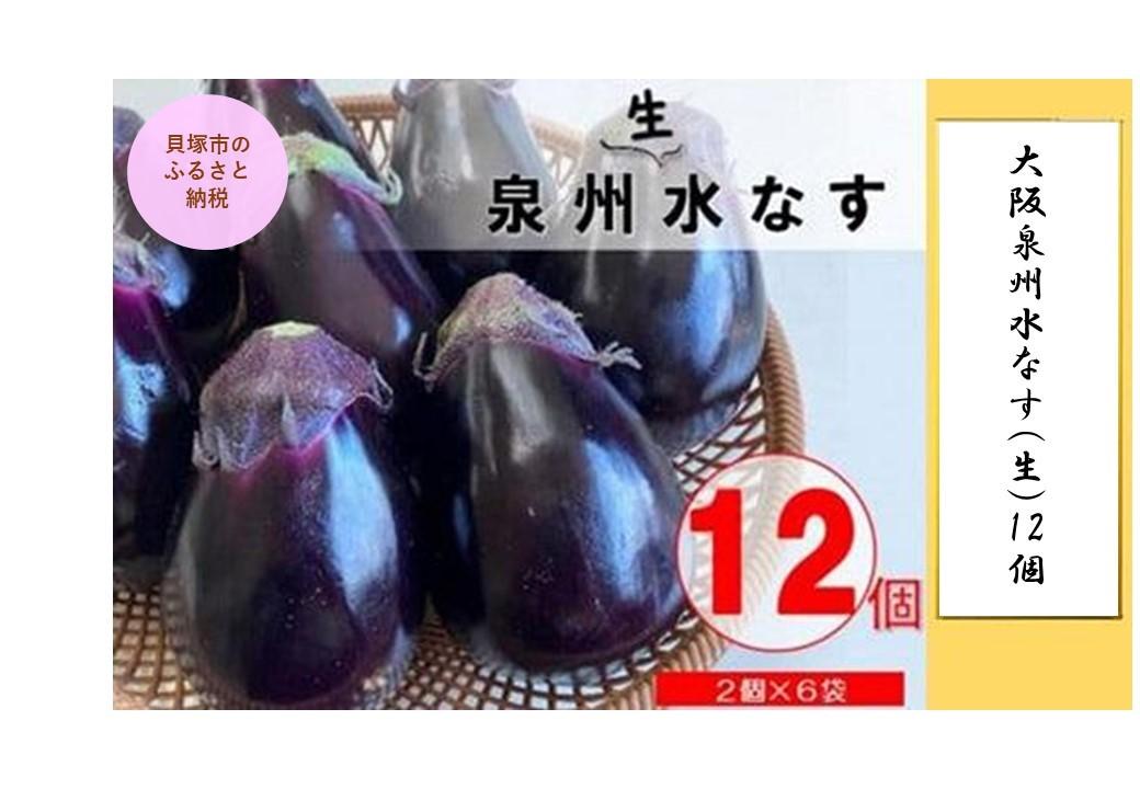 ＜先行予約＞大阪泉州水なす(生)12個