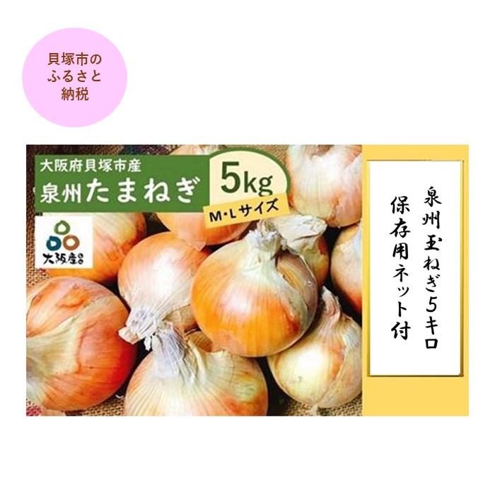 ＜2026年5月下旬発送＞泉州玉ねぎ5kg　保存用ネット付