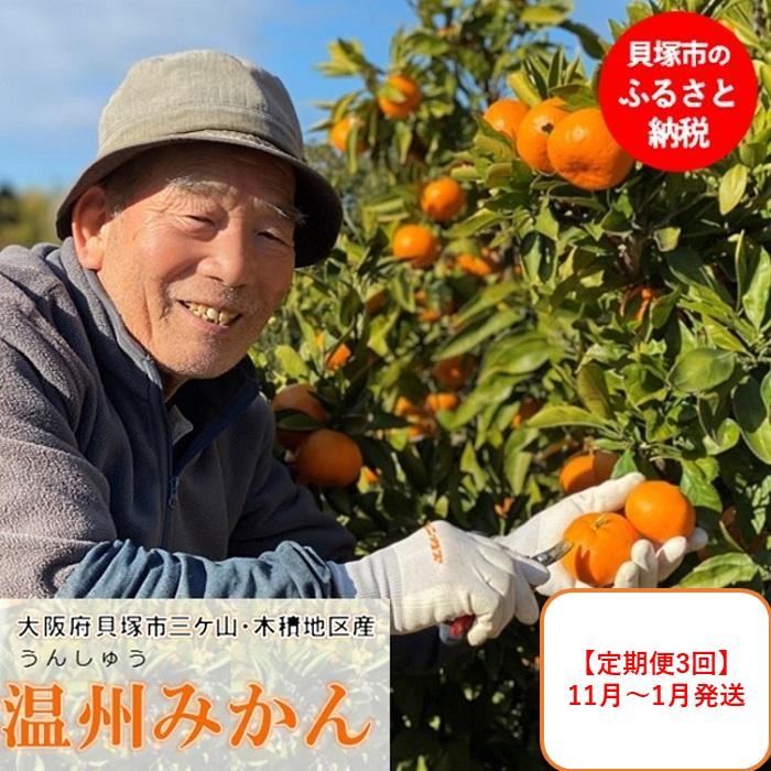 ＜2025年先行予約＞【定期便3回】11月～1月発送限定！貝塚市産 温州みかん10kg×3回