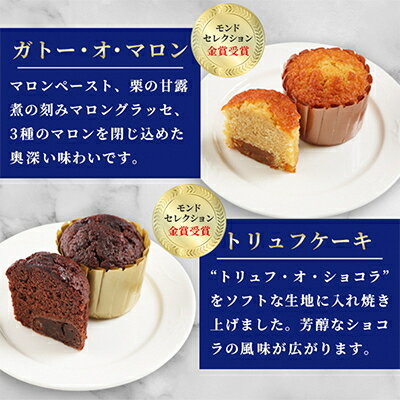 【ふるさと納税】ブールミッシュ　ギフトセット　16個入り【東京・銀座本店のフランス菓子ナショナルブランド】【1009706】 - 画像2