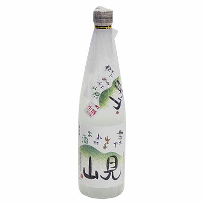 【ふるさと納税】茨木で生まれたお酒　「見山」純米吟醸生酒720ml1本 箱入【配送不可地域：離島】【1077004】 サムネイル2