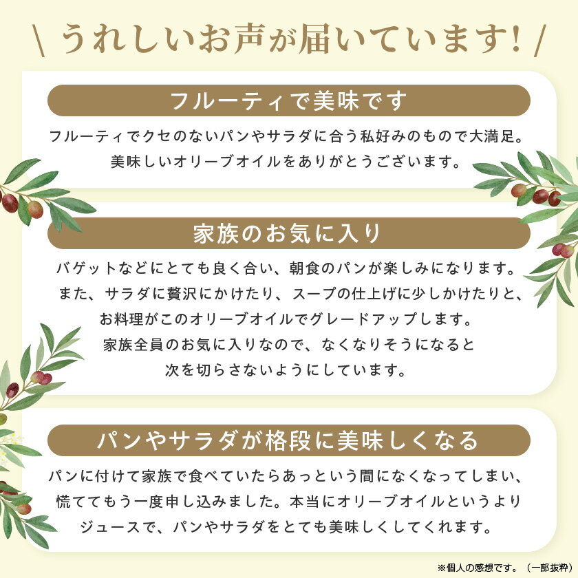 【ふるさと納税】【多くのプロの料理人が愛用】オリーブジュース100%オイル〈キヨエ〉　500ml_ オリーブオイル エキストラバージン オイル ノンフィルター 人気 おすすめ 送料無料 贈答 ギフト プレゼント 【1291733】 サムネイル2