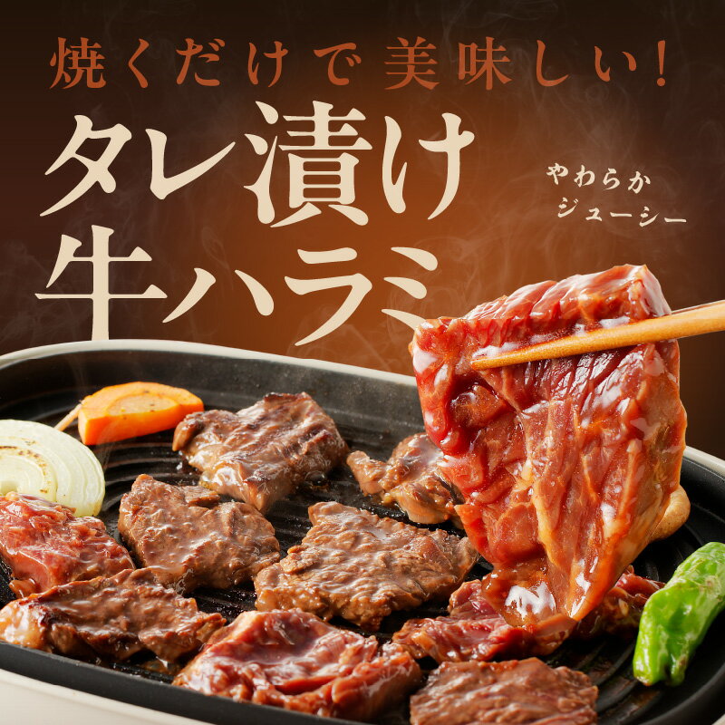 【ふるさと納税】焼肉セット 総量 1.4kg 大人気 ファミリー向け 薄切り スライス ねぎ塩 牛タン やわらか ジューシー 牛ハラミ肉 たれ漬 焼肉 BBQ 肉 牛肉 冷凍 焼くだけ 簡単 食品 お取り寄せ 大阪府 泉佐野市 送料無料 肉の泉佐野 サムネイル2