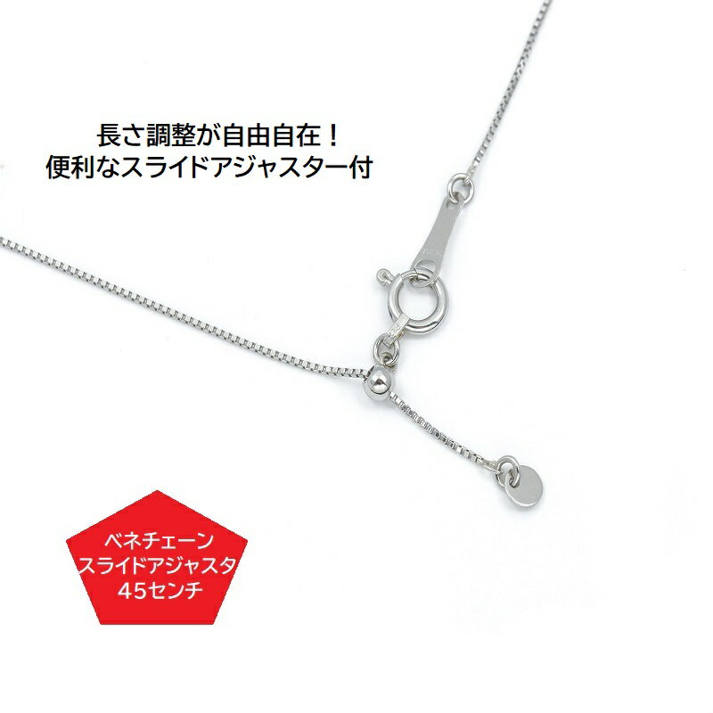 【ふるさと納税】プラチナ・1粒ダイヤモンドネックレス（0.3ct） サムネイル3