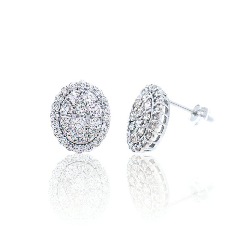 【ふるさと納税】ARC-EN-CIEL PTダイヤピアス（計 1.0ct） サムネイル2