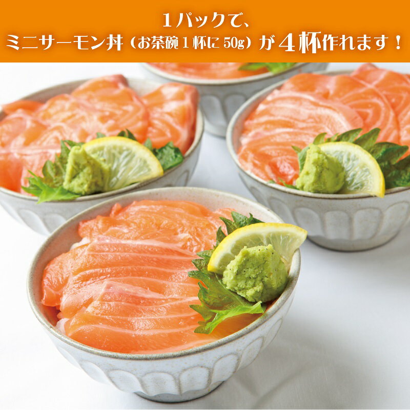 【ふるさと納税】【訳あり】 アトランティックサーモン 1kg 200g × 5 スライス 小分け 便利 サイズ不揃い 骨取り 骨抜き 生食 お刺身 刺身 海鮮丼 サラダ 和食 洋食 真空パック さけ 冷凍 おつまみ おかず 魚介 魚 大阪府 泉佐野市 送料無料 サムネイル2