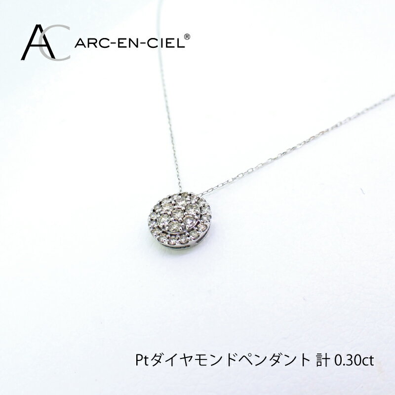 【ふるさと納税】プラチナ ダイヤ ペンダント 計 0.3ct アルカンシェル レディース ネックレス ジュエリー アクセサリー ギフト プレゼント 贈り物 お祝 華やか 天然ダイヤモンド プラチナ900 プラチナ850 ファッション 関西 大阪府 泉佐野市 送料無料 サムネイル2