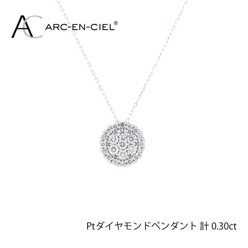 【ふるさと納税】プラチナ ダイヤ ペンダント 計 0.3ct アルカンシェル レディース ネックレス ジュエリー アクセサリー ギフト プレゼント 贈り物 お祝 華やか 天然ダイヤモンド プラチナ900 プラチナ850 ファッション 関西 大阪府 泉佐野市 送料無料 サムネイル3