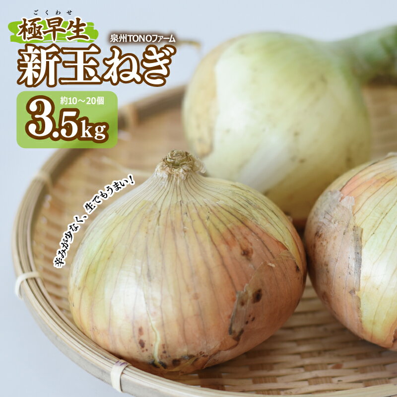 【先行予約】 極早生 新たまねぎ 3.5kg 泉州TONOファーム