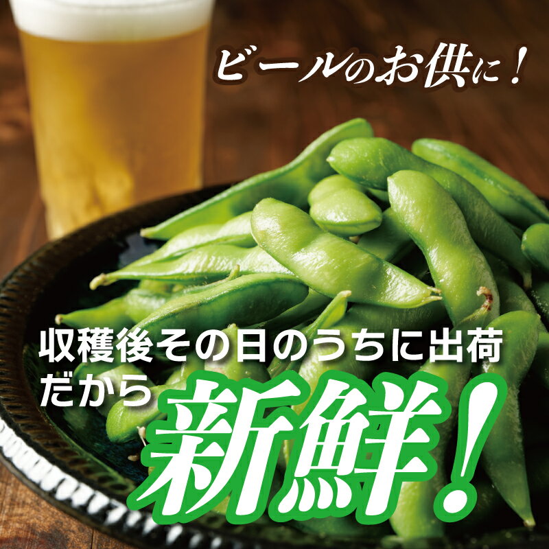 【ふるさと納税】【先行予約】 新鮮 枝豆 栄錦 選べる 内容量 200g×5袋 / 8袋 合計 1kg / 1.6kg 生枝豆 コク 風味 晩酌 お酒 おつまみ ビール お供 塩ゆで 生鮮食品 野菜 お取り寄せ グルメ 大阪府 泉佐野市 送料無料 サムネイル3
