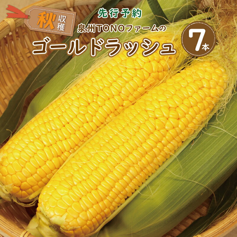 【先行予約】 数量限定 秋収穫 ゴールドラッシュ 7本 セット とうもろこし 新鮮 朝どれ 朝採り 甘みが強い 粒皮がやわらかい 泉州TONOファーム 国産 お取り寄せ お取り寄せグルメ 泉佐野産 大阪府 泉佐野市 送料無料