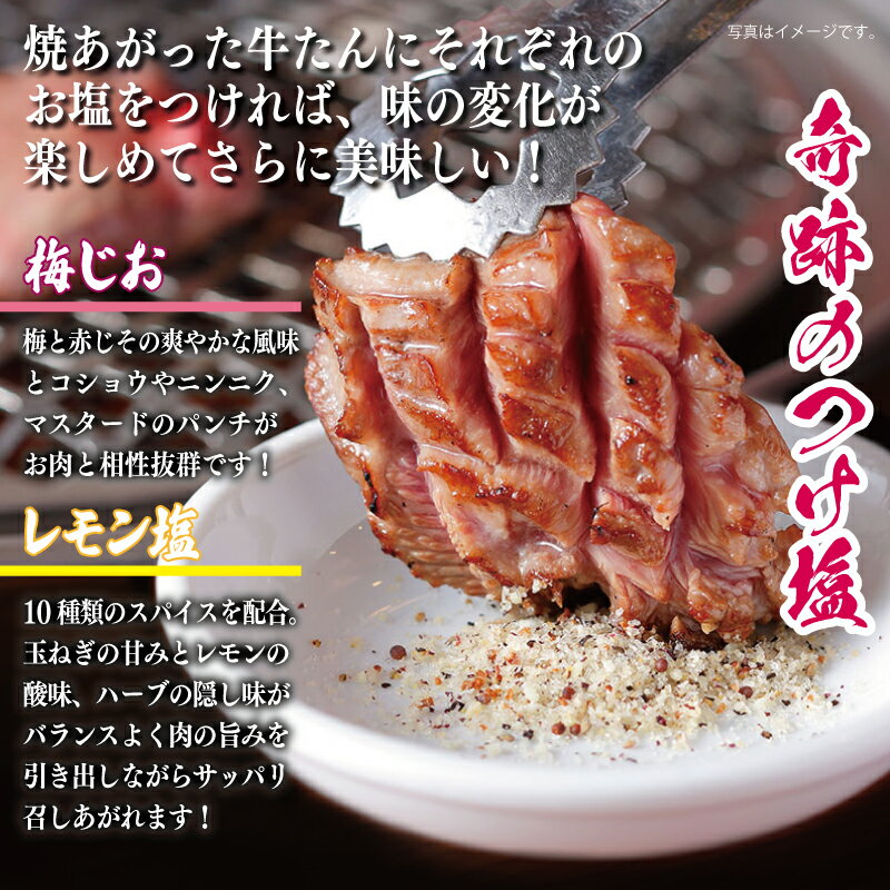 【ふるさと納税】焼き肉専門店 梅じお レモン塩 90g × 各 3本 合計 6本 食べ比べ セット タン おにぎり パスタ 焼肉 BBQ アレンジ 爽やか パンチ すっきり つけ塩 調味料 いちよしエンタープライズ(株) お取り寄せ 最短 7営業日以内発送 泉佐野市 送料無料 サムネイル2