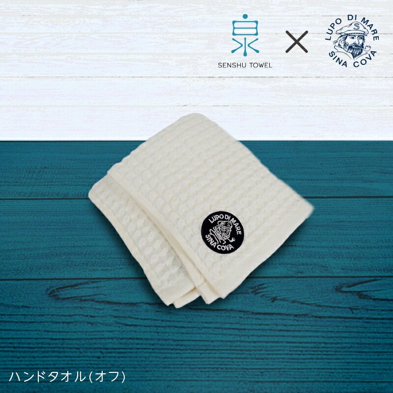 泉州ワッフル シナコバ SINA COVA × 泉州 コラボ ハンドタオル 1枚 オフホワイト 泉州タオル 日本製 イタリア ブランド ワンポイント 吸水性 肌触り 安心 安全 国産タオル 綿80％ 和紙20％ 大阪府 泉佐野市 送料無料
