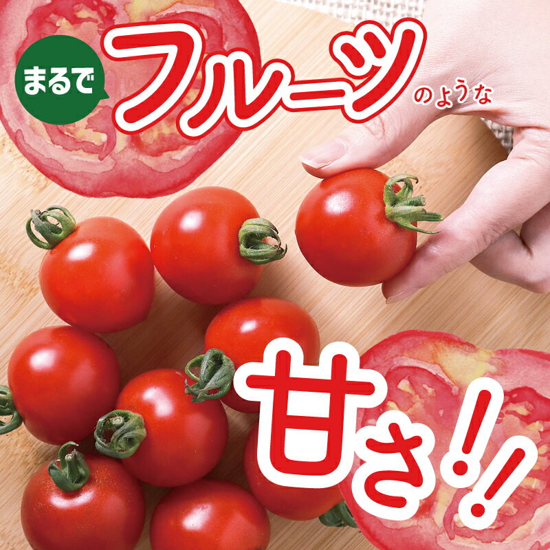 【ふるさと納税】先行予約 こだわり ミニトマト 4パック 合計 約 1kg 新鮮 食べごろ 好評 まるでフルーツ 甘い 厳選 期間限定 数量限定 野菜 トマト サラダ 食べ物 食品 お取り寄せ 冷蔵 カピバラファーム 泉佐野産 国産 大阪府 泉佐野市 送料無料 - 画像3