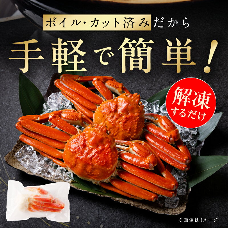 【ふるさと納税】【年内発送受付中】 ボイルズワイ蟹 1.2kg カット済み（3-4人前） お取り寄せグルメ 大阪府 泉佐野市 送料無料 サムネイル3