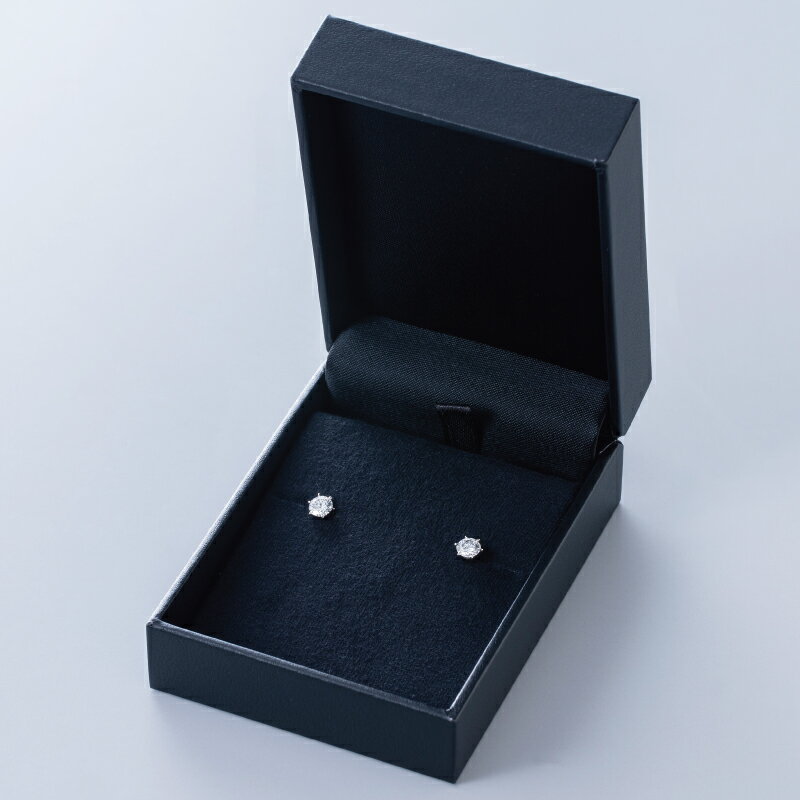 【ふるさと納税】【高島屋選定品】プラチナダイヤモンド スタッドピアス【ARC-EN-CIEL (アルカンシェル) ダイヤ 0.3ct D IF 3EX (GIA)】 サムネイル2