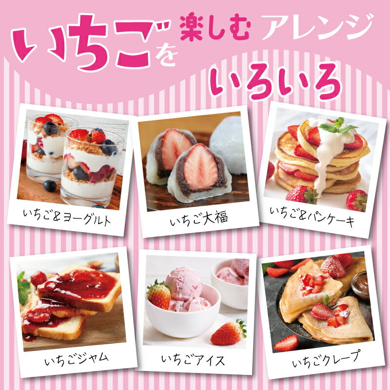 【ふるさと納税】【先行予約】 期間限定 いちご 250g / 200g × 2パック 化粧箱入り 特別規格 55キャンペーン 朝摘み 完熟いちご 国産 泉佐野市産 フルーツ 果物 化粧箱 直送 甘い 濃い 食品 食べ物 ギフト プレゼント お取り寄せ 泉佐野市 辻農園 冷蔵 送料無料 サムネイル3