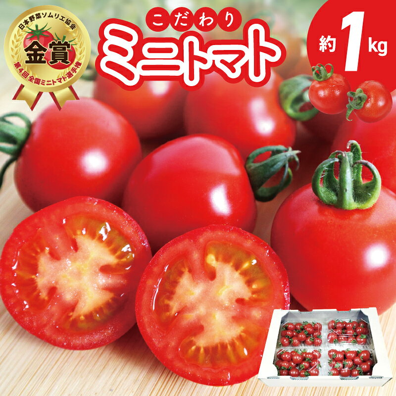 先行予約 こだわり ミニトマト 4パック 合計 約 1kg 新鮮 食べごろ 好評 まるでフルーツ 甘い 厳選 期間限定 数量限定 野菜 トマト サラダ 食べ物 食品 お取り寄せ 冷蔵 カピバラファーム 泉佐野産 国産 大阪府 泉佐野市 送料無料