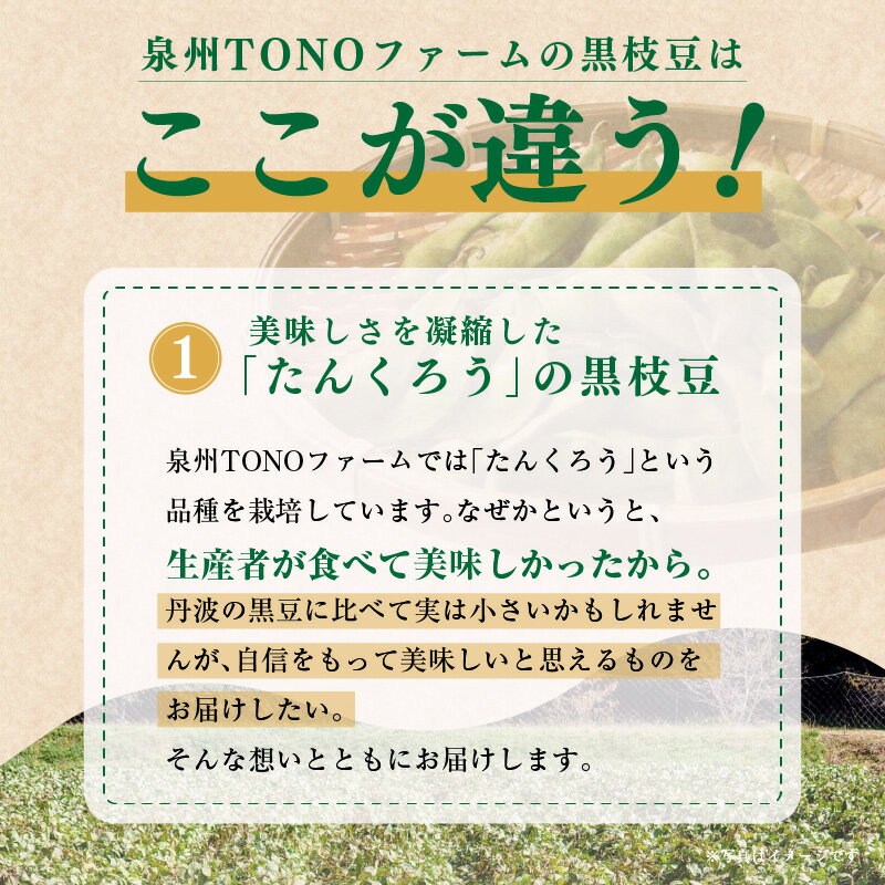 【ふるさと納税】【先行予約】 畑から直送・朝採り黒枝豆 1.8 / 3.6kg 畑から 直送 朝採り こだわり 枝豆 芳香 甘味 おつまみ 泉州TONOファーム 関西 大阪府 泉佐野市 お取り寄せ お取り寄せグルメ おうち居酒屋 冷蔵 食品 食べ物 送料無料 サムネイル3