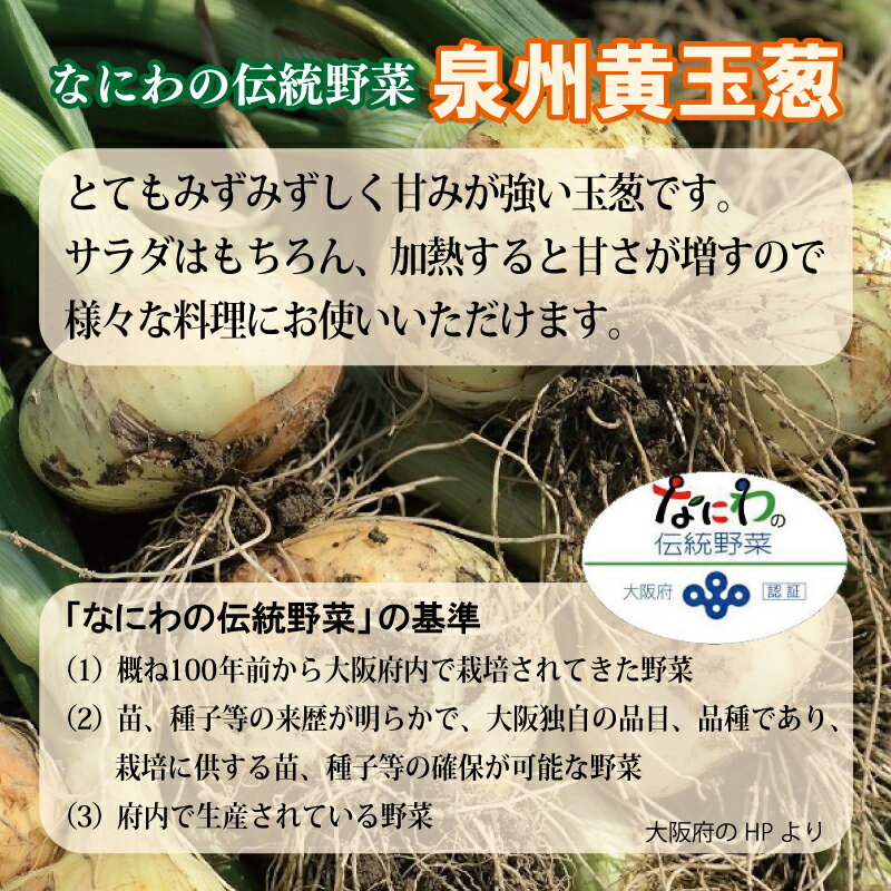 【ふるさと納税】【2026年5月初旬以降発送】 数量限定 幻のたまねぎ「泉州黄玉ねぎ」10kg 先行予約 - 画像3