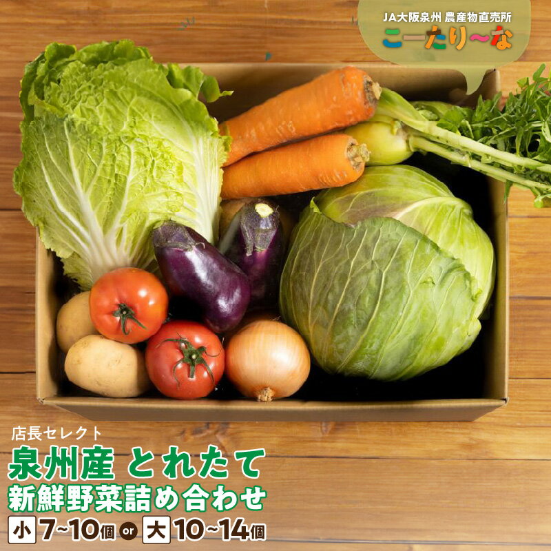 直売所 店長セレクト 季節の野菜セット 小 7個 〜 10個 8kg以内 / 大10個 〜 14個 15kg以内 JA大阪泉州 農産物直売所 こーたり〜な とれたて 新鮮 野菜 詰め合わせ セット 野菜セット 泉佐野市産 泉州産 国産 お取り寄せ 大阪府 泉佐野市 送料無料