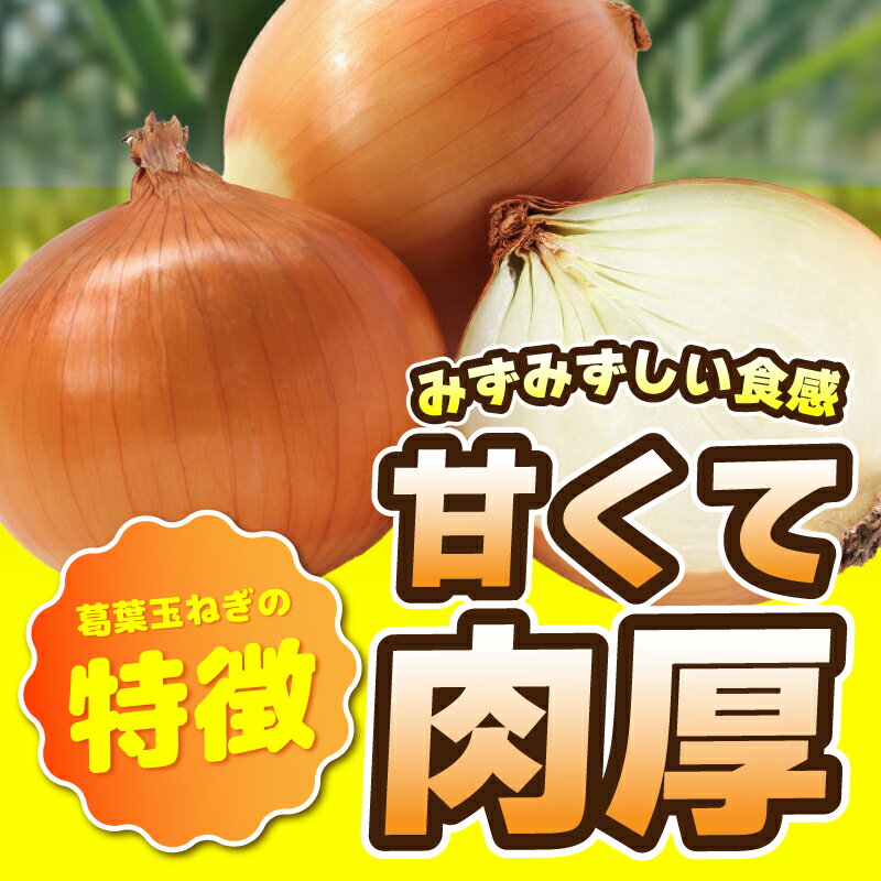 【ふるさと納税】【先行予約】 葛葉玉ねぎ 6kg 10～15玉 玉ねぎ 野菜 泉佐野産 国産 泉州野菜 泉州たまねぎ ジューシー 甘い みずみずしい 鮮度抜群 肉厚 食品 オニオン サラダ スープ 生姜焼き 炒め物 オニオンリング お取り寄せ 大阪府 泉佐野市 送料無料 - 画像3